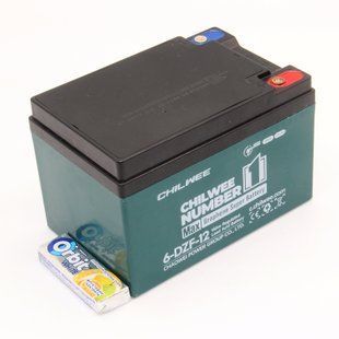 Гелевий тяговий акумулятор GHILWEE 6-DZF-12 - 12A/H