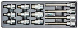 Whirlpower Набір головок зі вставкою Hex 5-19мм 1/2" 13од ложемент