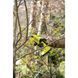 Ryobi Секатор Ryobi RY18SCA-115P 5133005563, аккумуляторный ONE+, 18В, АКБ 1.5 Ач, до 25 мм, с кобурой и точильной