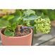 Комплект для полива Gardena Micro-Drip-System Balcony Set на 15 растений