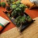 Складаний садовий килимок для рослин Fiskars 1071304