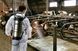 GLORIA Обприскувач ручний 10л 510T-Profiline маслостійкий, без манометра на ручці