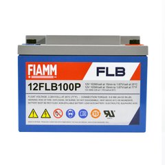 Тяговая аккумуляторная батарея AGM FIAMM High Performance 12V 26Ah (12FLB100P)