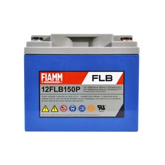 Тяговая аккумуляторная батарея AGM FIAMM High Performance 12V 40Ah (12FLB150P)